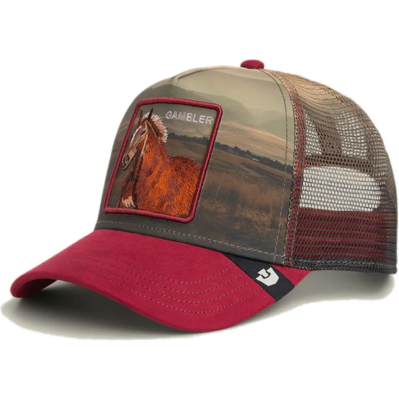 cap-curbata-multicolor-snapback-the-farm-de-goorin-bros