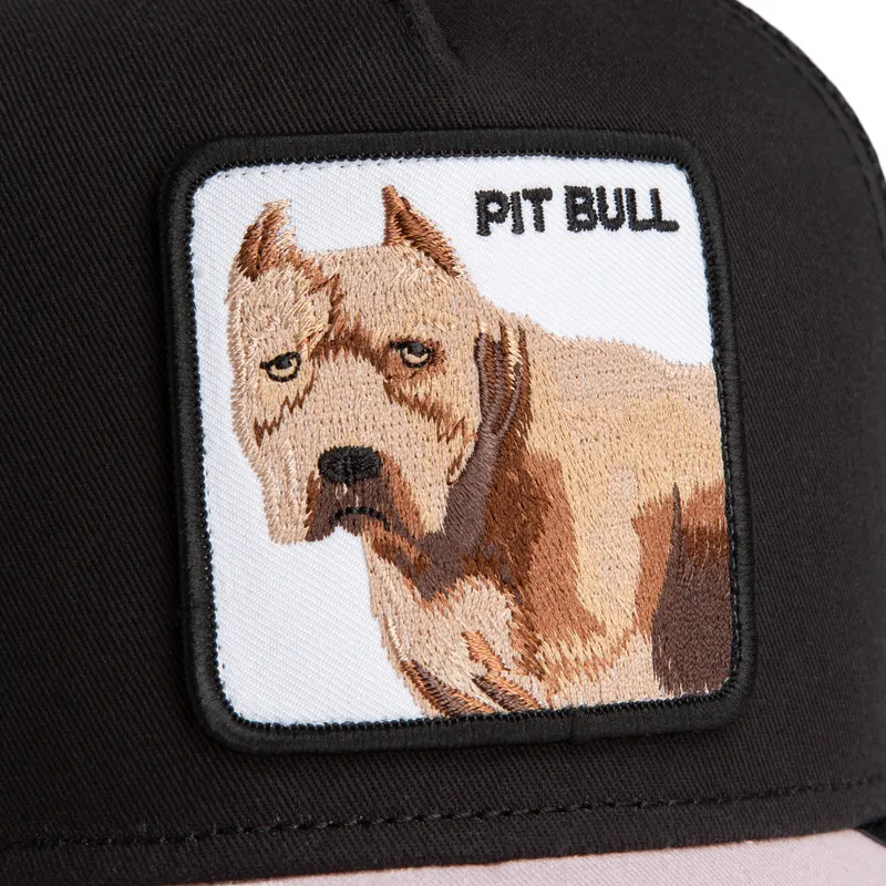 cap-curbata-black-snapback-the-farm-de-goorin-bros