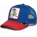 cap-curbata-blue-snapback-the-farm-de-goorin-bros
