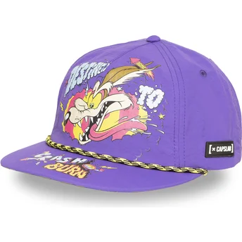 Capslab Flat Brim Wile E. Coyote LOO13 DTCB Looney Tunes Purple Snapback Cap
