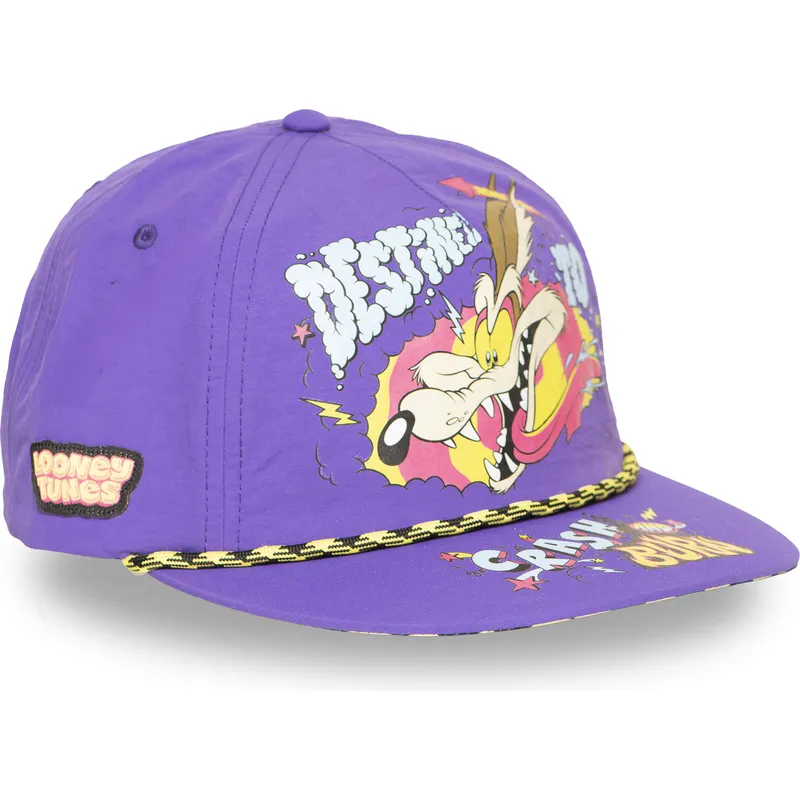 cap-plata-violet-snapback-coyote-looney-tunes-de-capslab