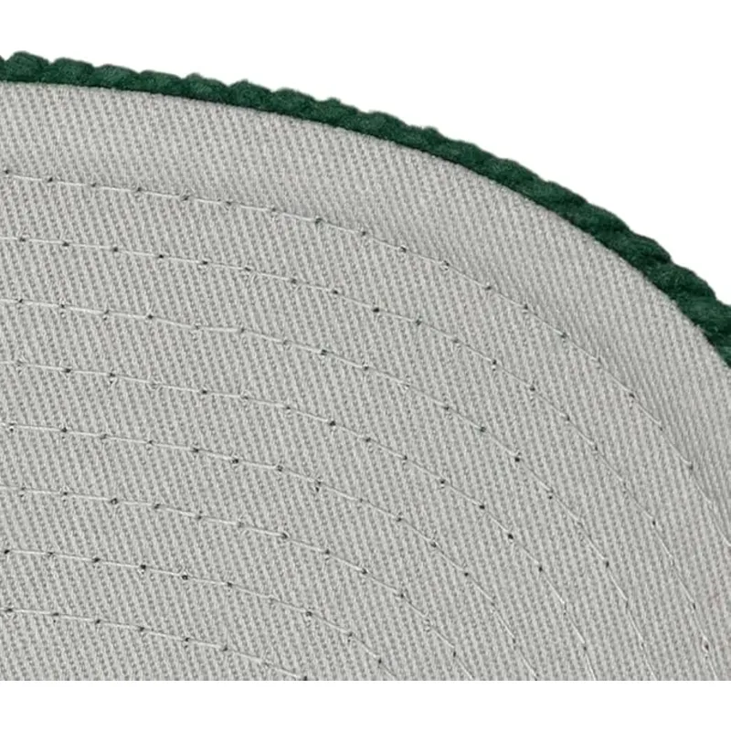 zielona-czapka-z-daszkiem-snapback-arch-stamp-pro-anaheim-ducks-nhl-od-mitchell-ness