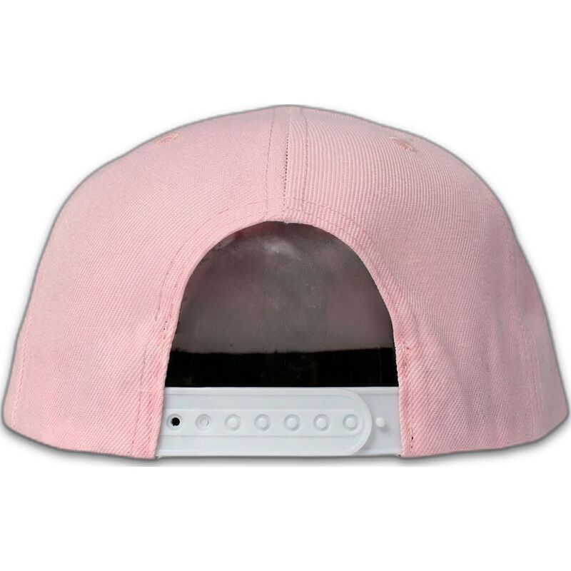 cap-plata-pink-snapback-the-retro-de-homenage