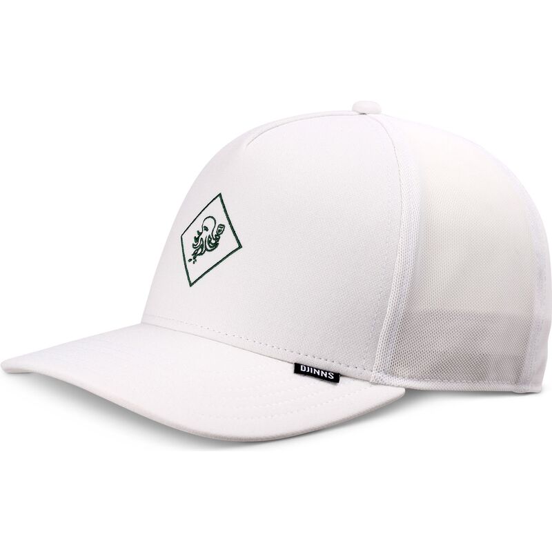 epci-curbata-camionagiu-alb-snapback-hft-finefine-de-djinns