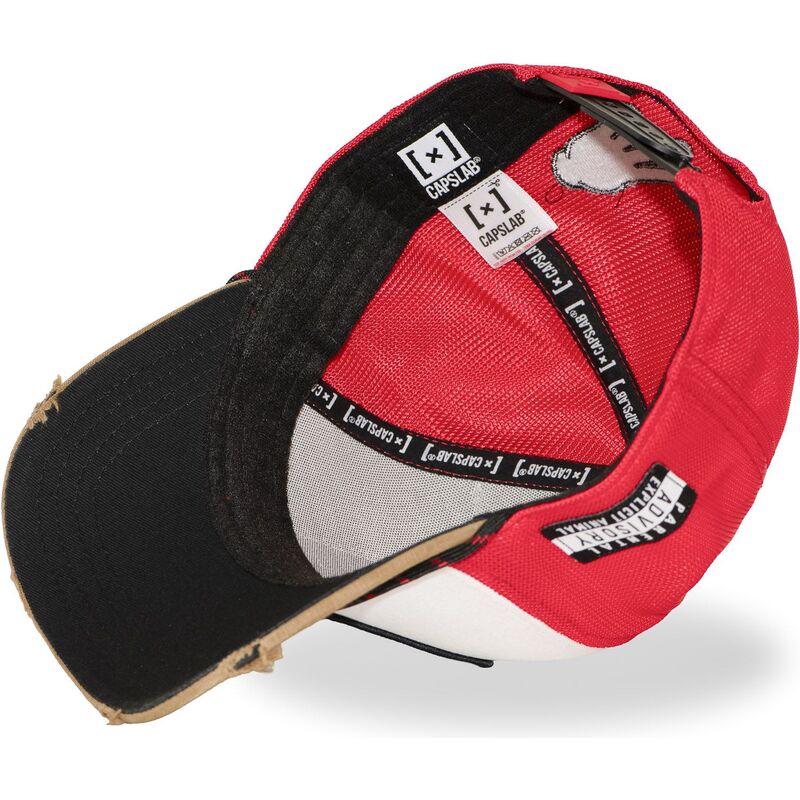 epci-curbata-papagal-snapback-big-boy-bigb-hip-hop-dogz-de-capslab
