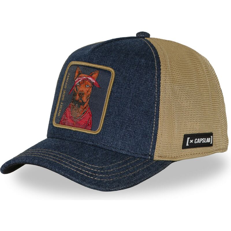 cap-curbata-multicolor-snapback-hip-hop-dogz-de-capslab