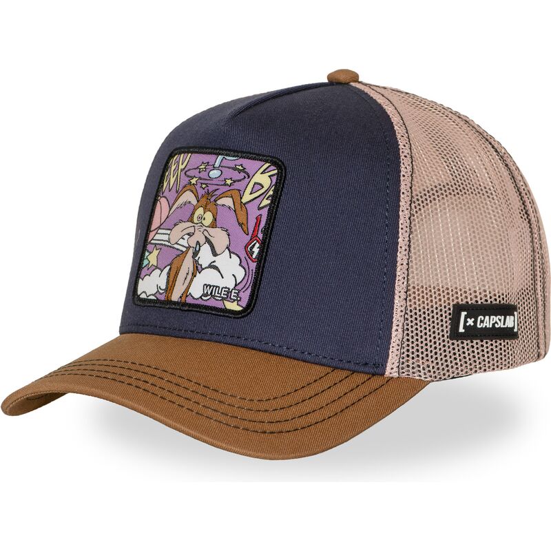 epci-curbata-papagal-snapback-loo13-wilb-coiot-looney-tunes-de-capslab