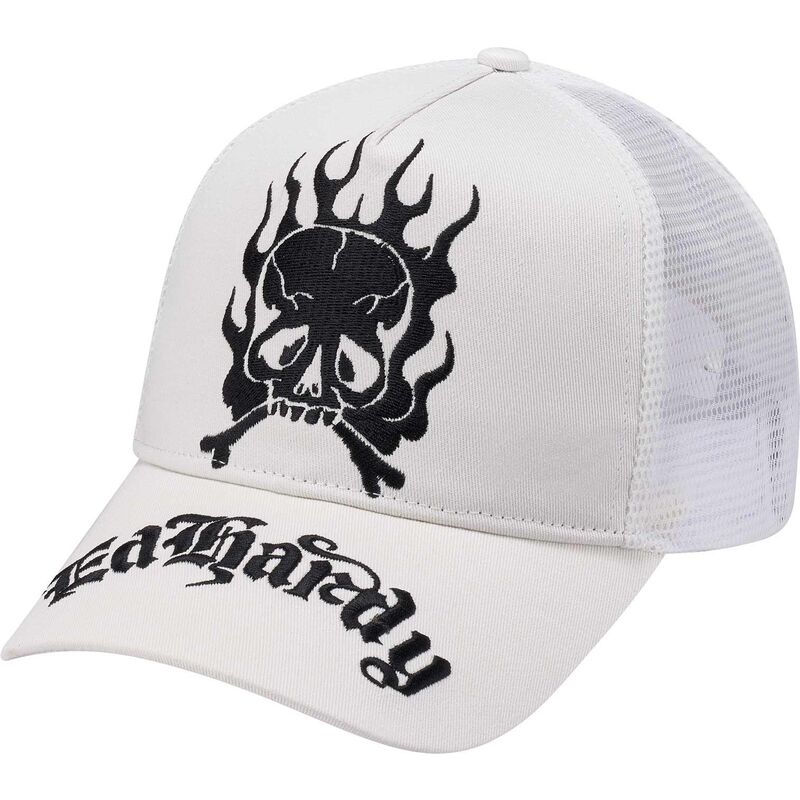 epci-curbata-alb-snapback-gothic-skull-in-flames-de-ed-hardy