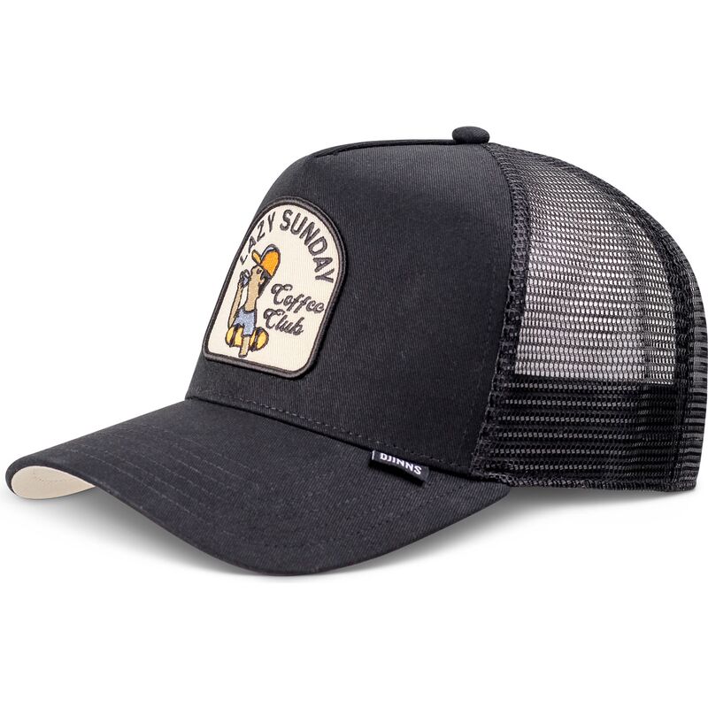 epci-curbata-negru-snapback-hft-skaterboy-de-djinns