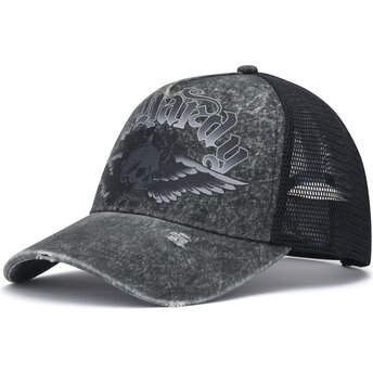 Șepci curbată gri snapback Flaming Gothic Skull Washed de Ed Hardy