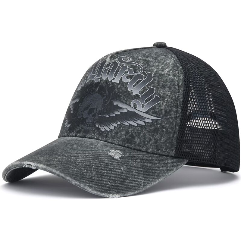 epci-curbata-gri-snapback-flaming-gothic-skull-washed-de-ed-hardy epci-curbata-gri-snapback-flaming-gothic-skull-washed-de-ed-hardy