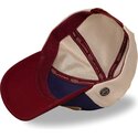 epci-curbata-papagal-snapback-terry19-de-von-dutch