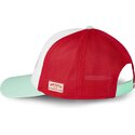 epci-curbata-papagal-snapback-sem12-de-von-dutch