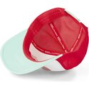 epci-curbata-papagal-snapback-sem12-de-von-dutch