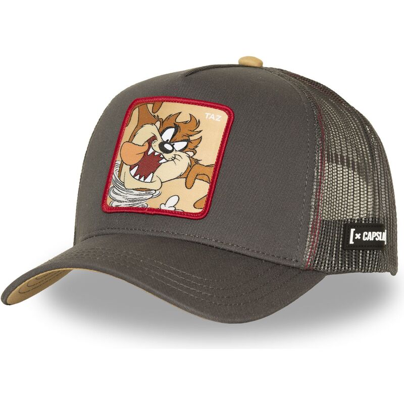 epci-curbata-maro-snapback-diavolul-tasmanian-looney-tunes-de-capslab
