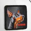 epci-curbata-negru-snapback-pentru-copii-beware-original-recipe-the-farm-goorin-bros