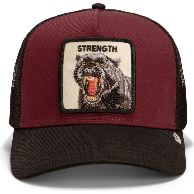epci-curbata-rou-snapback-strength-panther-original-recipe-the-farm-goorin-bros