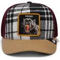epci-curbata-papagal-snapback-brit-panther-check-mate-pissed-the-farm-goorin-bros