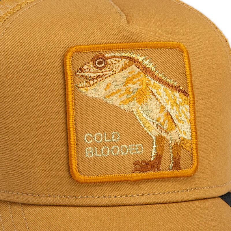 epci-curbata-maro-snapback-circle-of-life-cold-blooded-tone-shift-the-farm-goorin-bros