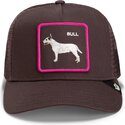 epci-curbata-maro-snapback-shadow-bull-terrier-off-the-leash-the-farm-goorin-bros