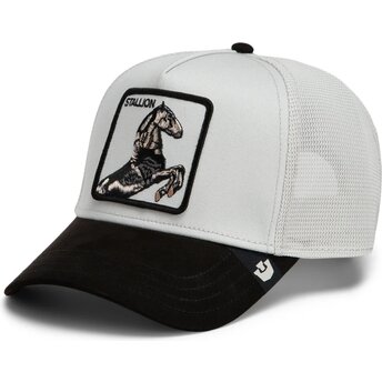 Șepci curbată gri snapback Suede Stallion Microsuede The Farm Goorin Bros.