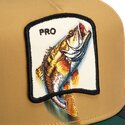epci-curbata-maro-snapback-pro-migration-the-farm-goorin-bros