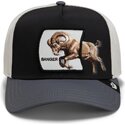 epci-curbata-papagal-snapback-banger-migration-the-farm-goorin-bros