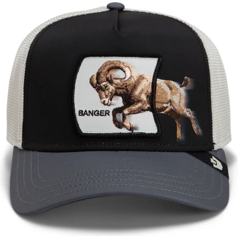epci-curbata-papagal-snapback-banger-migration-the-farm-goorin-bros