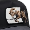epci-curbata-papagal-snapback-banger-migration-the-farm-goorin-bros